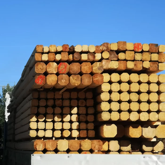 02-travi-trieste-fiume