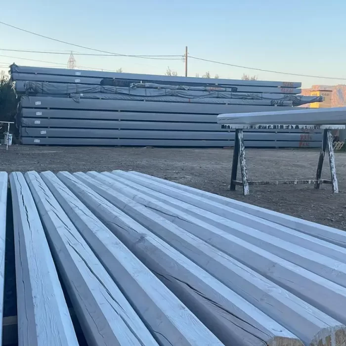 05-travi-trieste-fiume